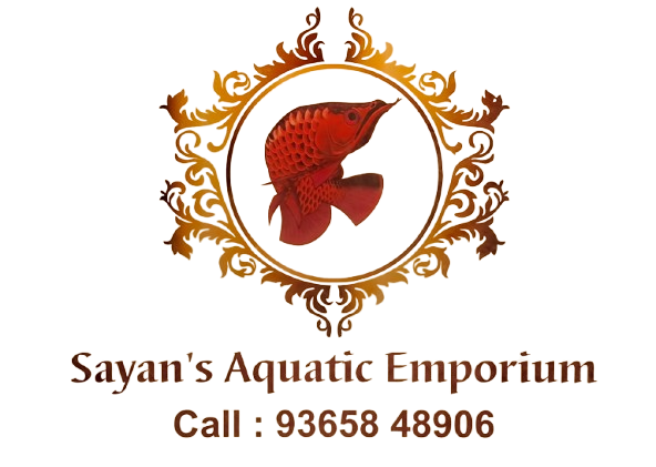 SAYAN'S AQUATIC EMPORIUM