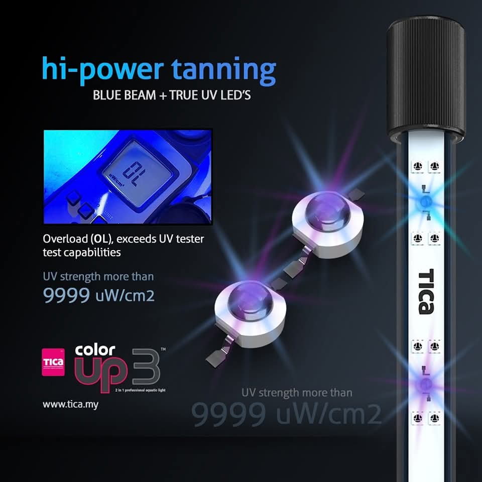 Tica Color Up 3  (2-IN-1 Pro Aquatic Viewing & Tanning Light)