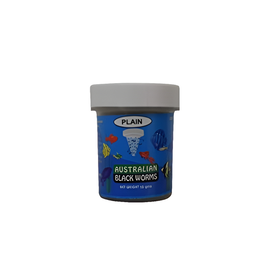 Australian Black Worms